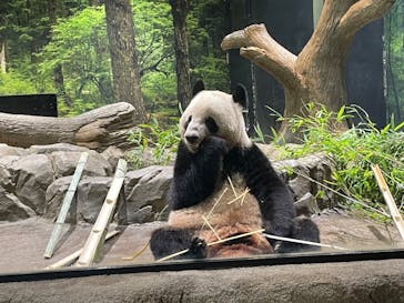 恩賜上野動物園に投稿された画像（2024/9/10）