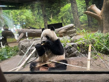 恩賜上野動物園に投稿された画像（2024/9/10）