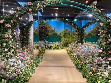 モネ＆フレンズ・アライブに投稿された画像（2024/9/10）