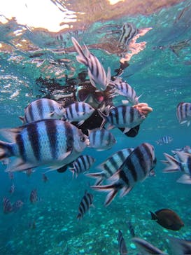 沖縄マリンサービス碧に投稿された画像（2024/9/10）