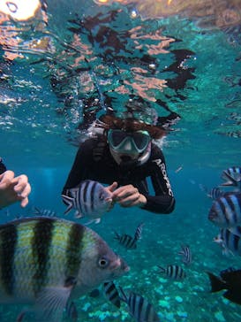 沖縄マリンサービス碧に投稿された画像（2024/9/10）