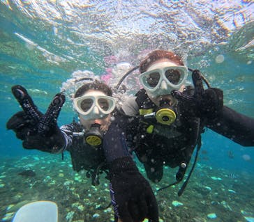 沖縄マリンサービス碧に投稿された画像（2024/9/10）