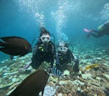 沖縄マリンサービス碧に投稿された画像（2024/9/10）