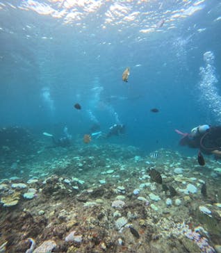 沖縄マリンサービス碧に投稿された画像（2024/9/10）