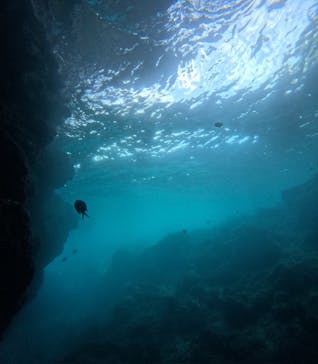 沖縄マリンサービス碧に投稿された画像（2024/9/10）