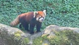 多摩動物公園に投稿された画像（2024/9/10）