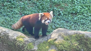 多摩動物公園に投稿された画像（2024/9/10）
