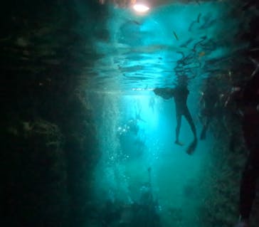 武藤潜水に投稿された画像（2024/9/10）