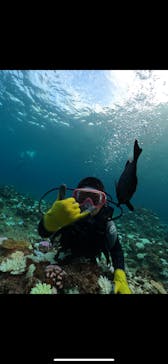 武藤潜水に投稿された画像（2024/9/10）