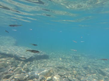 四万十楽舎（しまんとがくしゃ）に投稿された画像（2024/9/10）