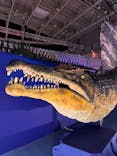 巨大恐竜展2024に投稿された画像（2024/9/10）
