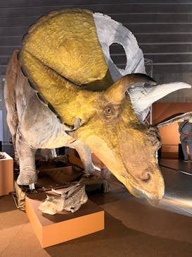 巨大恐竜展2024に投稿された画像（2024/9/10）