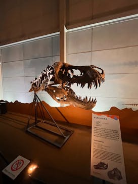 巨大恐竜展2024に投稿された画像（2024/9/10）