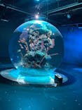 AQUARIUM × ART　atoaに投稿された画像（2024/9/10）