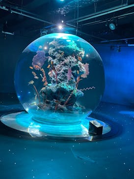AQUARIUM × ART　atoaに投稿された画像（2024/9/10）