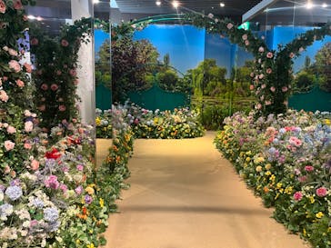 モネ＆フレンズ・アライブに投稿された画像（2024/9/10）