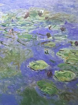 モネ＆フレンズ・アライブに投稿された画像（2024/9/10）