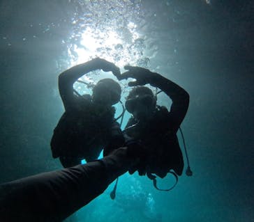 沖縄マリンサービス碧に投稿された画像（2024/9/10）