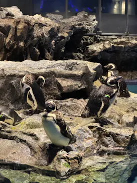 すみだ水族館に投稿された画像（2024/9/10）