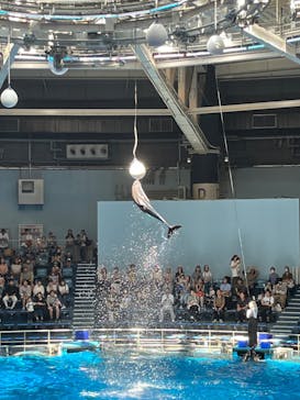 マクセル アクアパーク品川に投稿された画像（2024/9/10）