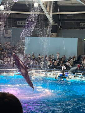 マクセル アクアパーク品川に投稿された画像（2024/9/10）