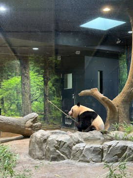 恩賜上野動物園に投稿された画像（2024/9/10）