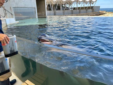 城崎マリンワールドに投稿された画像（2024/9/10）