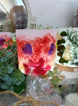 ずこうしつ〜sugamo〜に投稿された画像（2024/9/10）