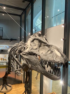 福井県立恐竜博物館に投稿された画像（2024/9/10）