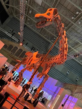 巨大恐竜展2024に投稿された画像（2024/9/10）