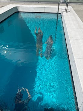 金沢21世紀美術館に投稿された画像（2024/9/10）