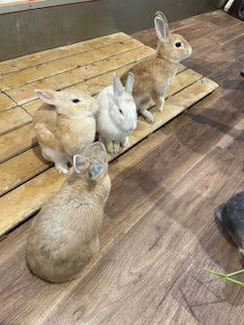 アニタッチPARKイオンモール太田に投稿された画像（2024/9/10）