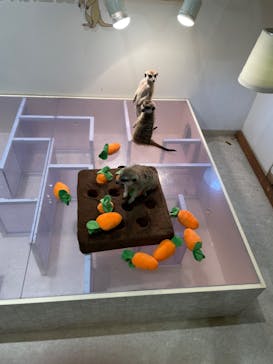 アニタッチPARKイオンモール太田に投稿された画像（2024/9/10）