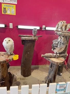 アニタッチPARKイオンモール太田に投稿された画像（2024/9/10）