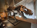 巨大恐竜展2024に投稿された画像（2024/9/10）