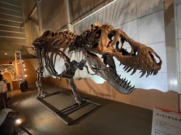 巨大恐竜展2024に投稿された画像（2024/9/10）