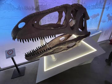巨大恐竜展2024に投稿された画像（2024/9/10）