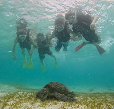 タビワク　宮古島に投稿された画像（2024/9/10）