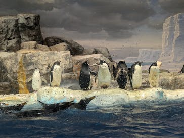 名古屋港水族館に投稿された画像（2024/9/10）