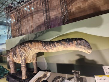 巨大恐竜展2024に投稿された画像（2024/9/10）