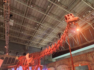 巨大恐竜展2024に投稿された画像（2024/9/10）