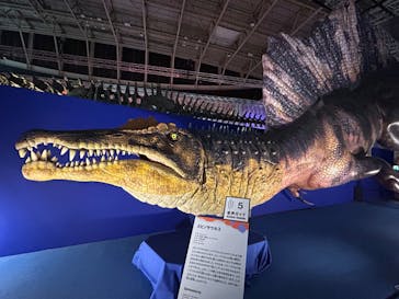 巨大恐竜展2024に投稿された画像（2024/9/10）