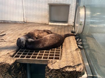 NIFREL（ニフレル）に投稿された画像（2024/9/10）