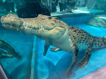 NIFREL（ニフレル）に投稿された画像（2024/9/10）