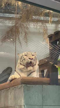 NIFREL（ニフレル）に投稿された画像（2024/9/10）