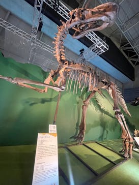 巨大恐竜展2024に投稿された画像（2024/9/10）