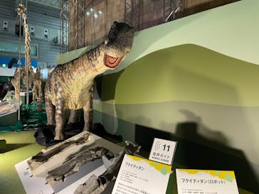 巨大恐竜展2024に投稿された画像（2024/9/10）
