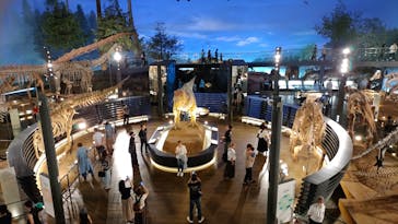 福井県立恐竜博物館に投稿された画像（2024/9/10）