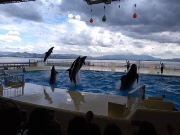 マリンワールド海の中道に投稿された画像（2024/9/10）