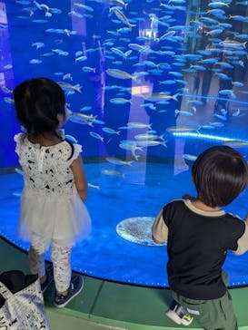 アクアワールド茨城県大洗水族館に投稿された画像（2024/9/11）